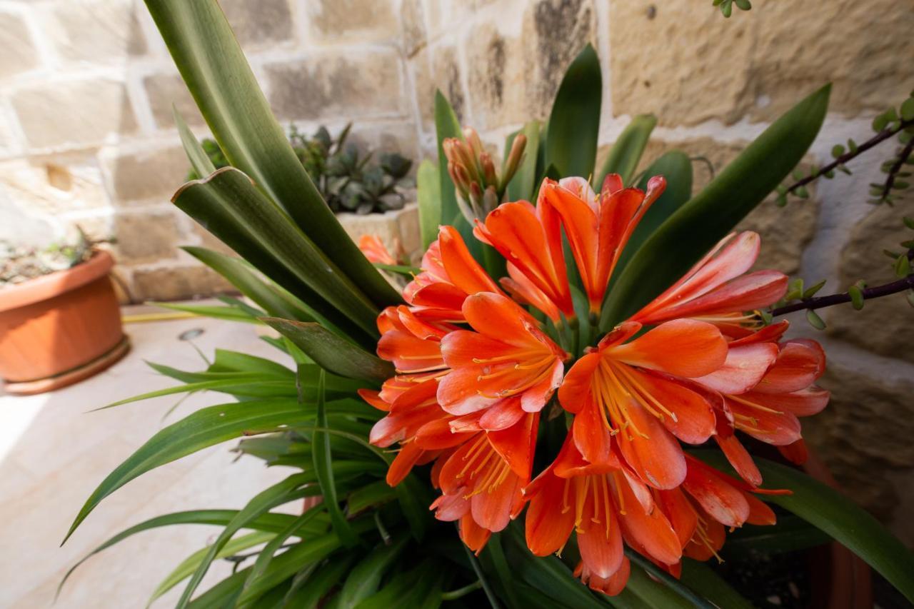 Sweet Life Gozo - Boutique Living Acomodação com café da manhã Santa Luċija Exterior foto